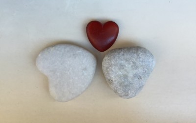 TALLER CON EL VINCULO FAMILIAR